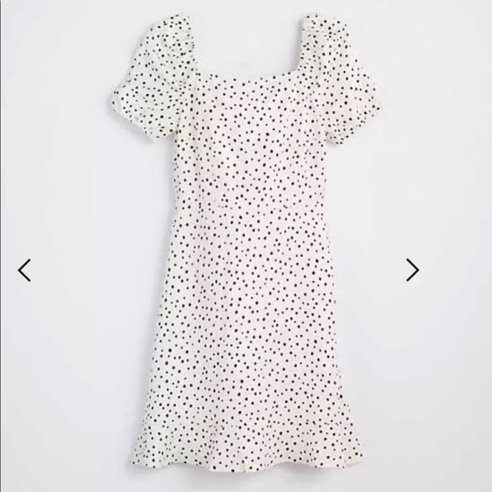 Loft petite white polka dot dress